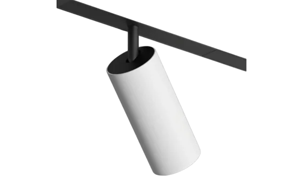 Светильник акцентный SMART SPOT 20W  DIM 3000K-6000K, чёрный с белым Denkirs