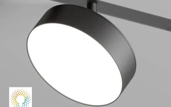 Светильник акцентный SMART LINEAR  16W DIM 3000K-6000K , чёрный Denkirs 