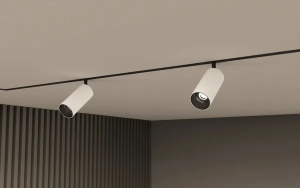 Светильник акцентный SMART SPOT 20W  DIM 3000K-6000K, чёрный с белым Denkirs