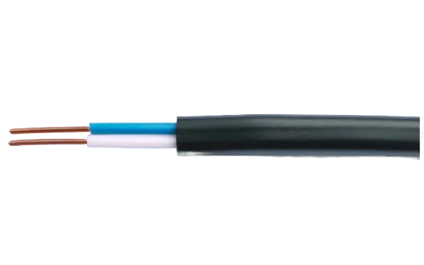 Кабель ВВГ НГ-LS 2*1,5  ТУ