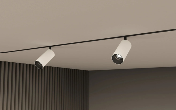 Светильник акцентный SMART SPOT 20W  DIM 3000K-6000K, чёрный с белым Denkirs